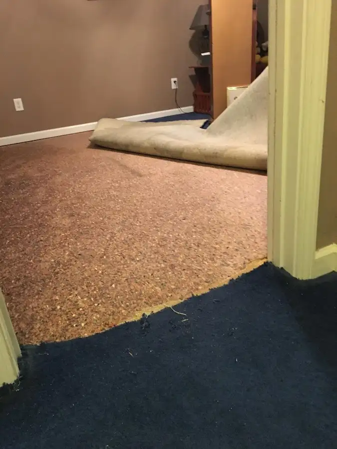 Carpet pad removal revealing water damage during Water Mitigation Services in Whitemarsh