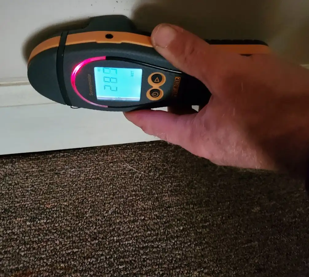 Moisture detection at baseboard during Mold Inspection & Testing in Whitemarsh